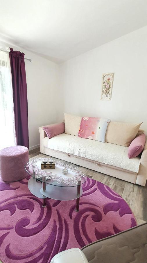Apartment Jelena Sutvara Kotor Luaran gambar