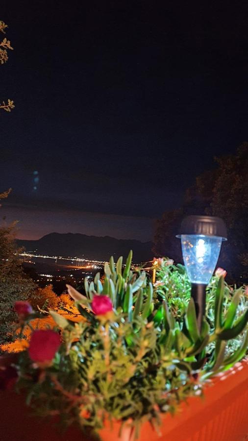 Apartment Jelena Sutvara Kotor Luaran gambar